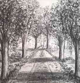 Ehrenberg11
