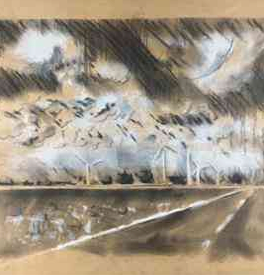 Musekamp12